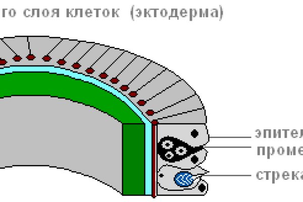 Kraken гидра